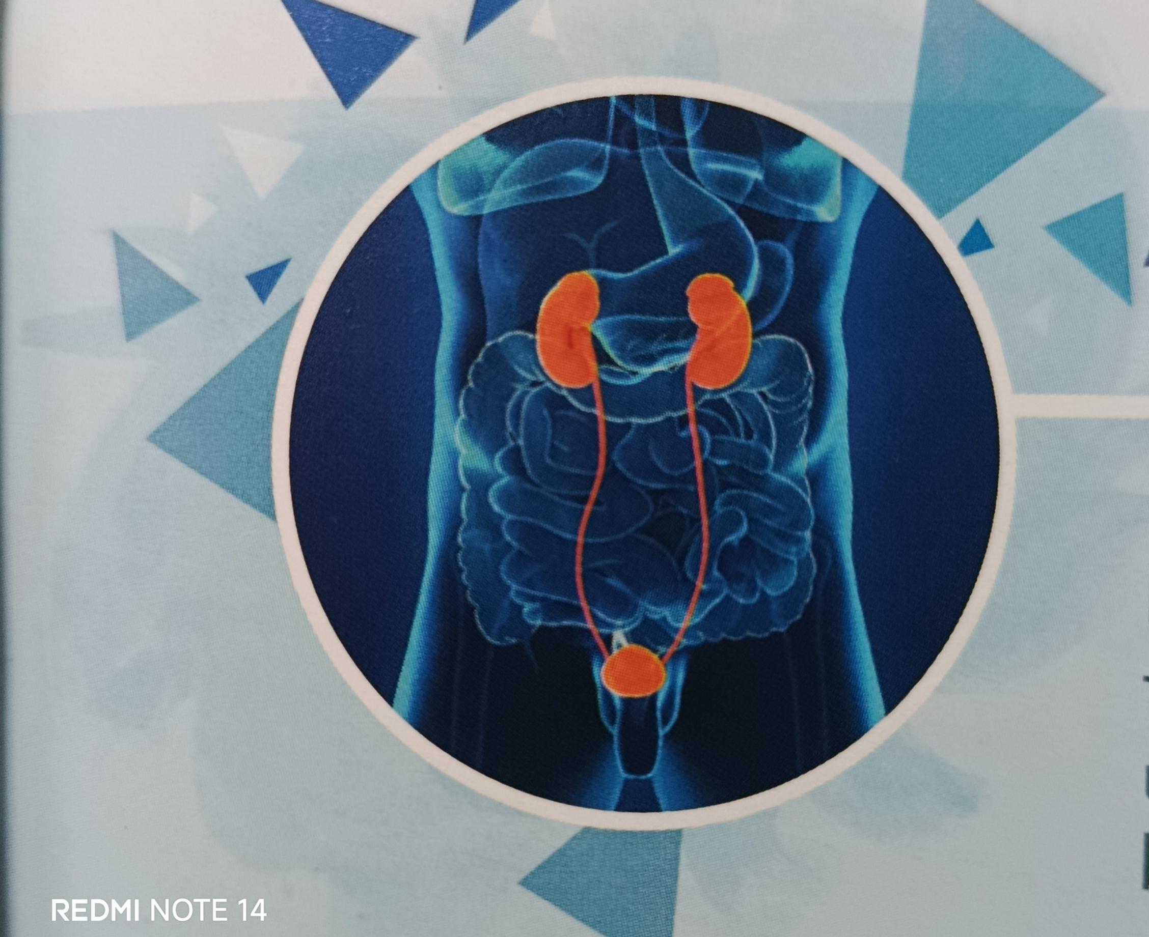 Acute and Chronic Cystitis