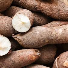 Kamoteng Kahoy - plant_690d47dcc6af34.98712824