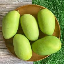 Mangga - plant_690d6206333e99.34954924