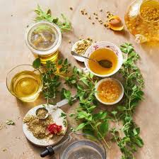 Oregano - plant_690d68a71107b0.79012965