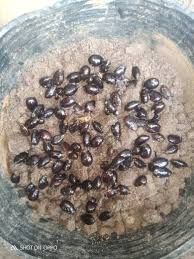 Anonas - plant_6916e6fa509577.98414980